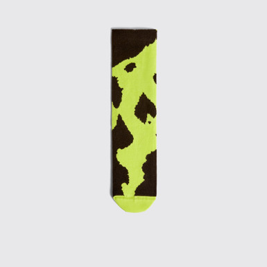 Spandalones Sox