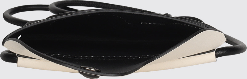Overhead view of Jay Jay PASS CASE