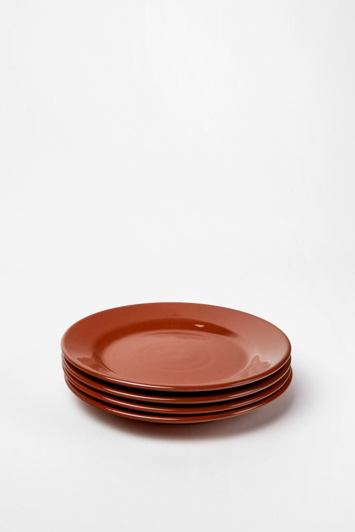Terracotta Dinner Plates Set of 4