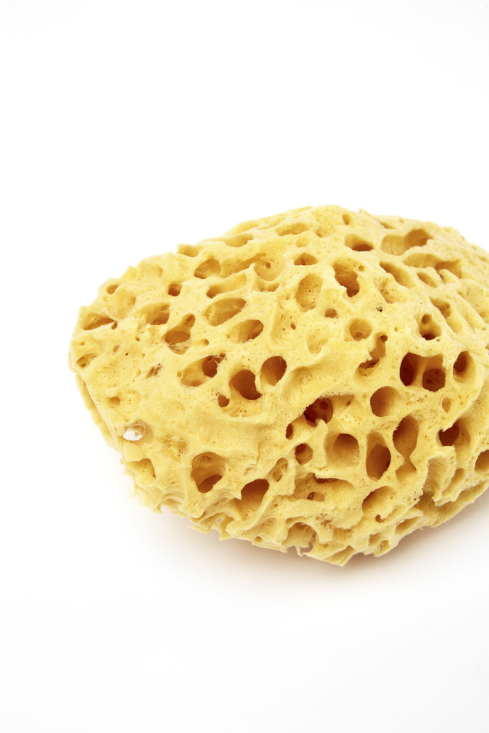Natural Mediterranean Sponge