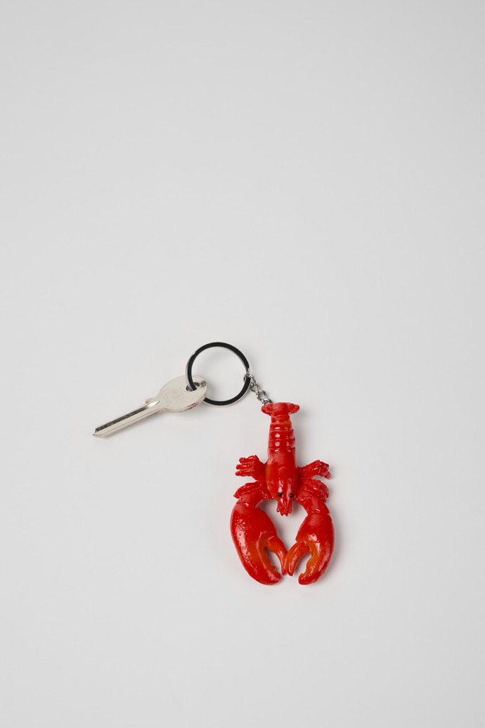 Overhead view of 3 crustacean key rings 3 key rings