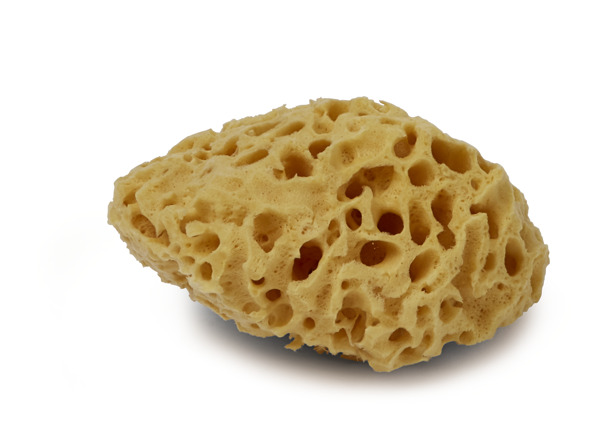 Camper Natural Mediterranean Sponge KG00147-001 Tipologiaconsumidores_cst_t16 g