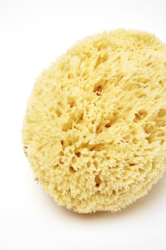 Alternative image of KG00147-001 - Natural Mediterranean Sponge